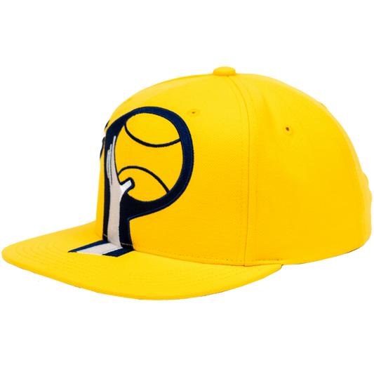SH23643 - Pacers Snapback