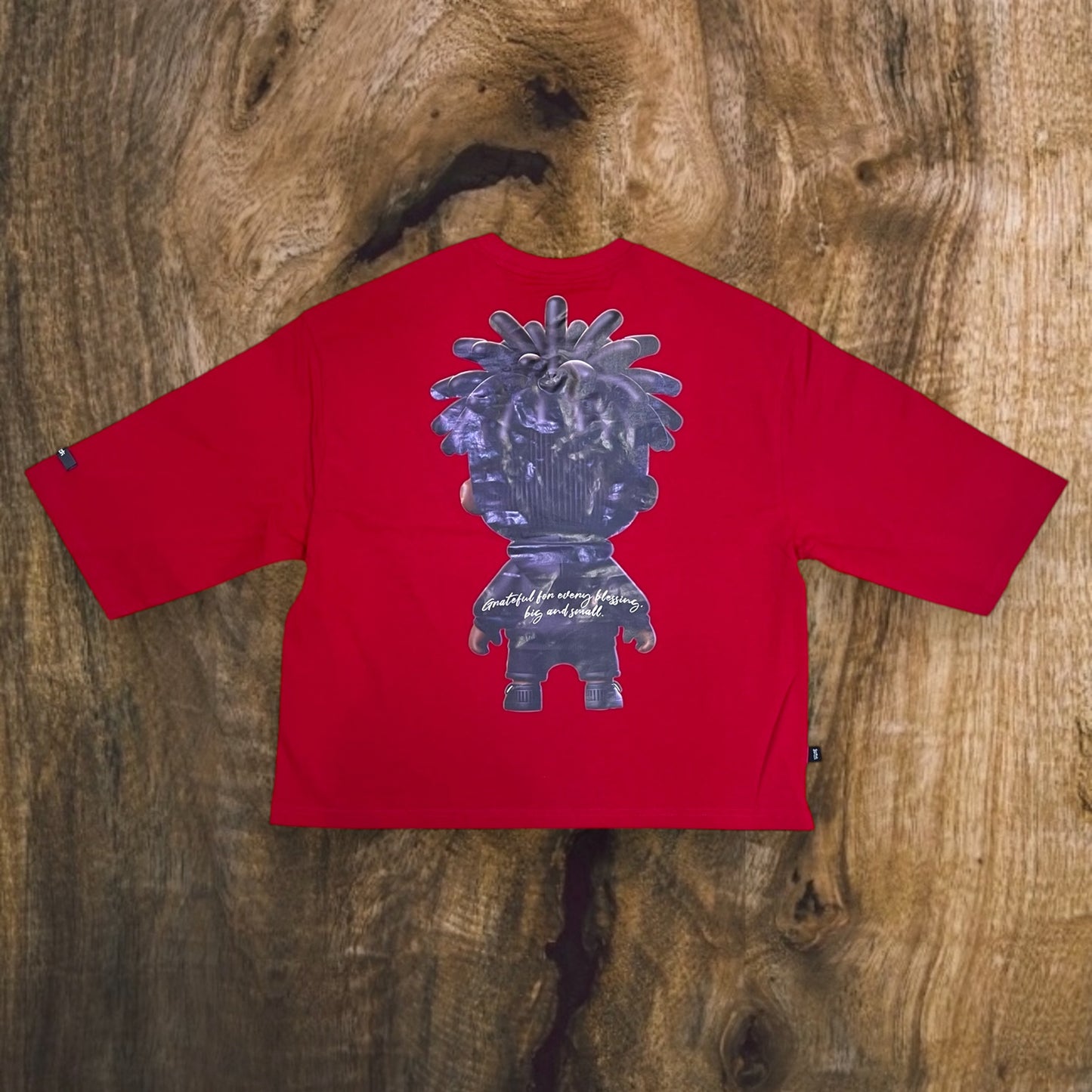 SS5119 - Blessed Graphic Cropped Top T-Shirt