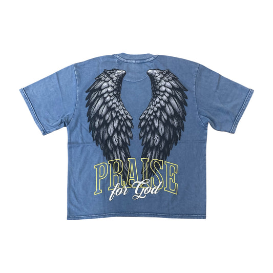 WH-1163-109 - Praise Digital Cropped Graphic T-Shirt