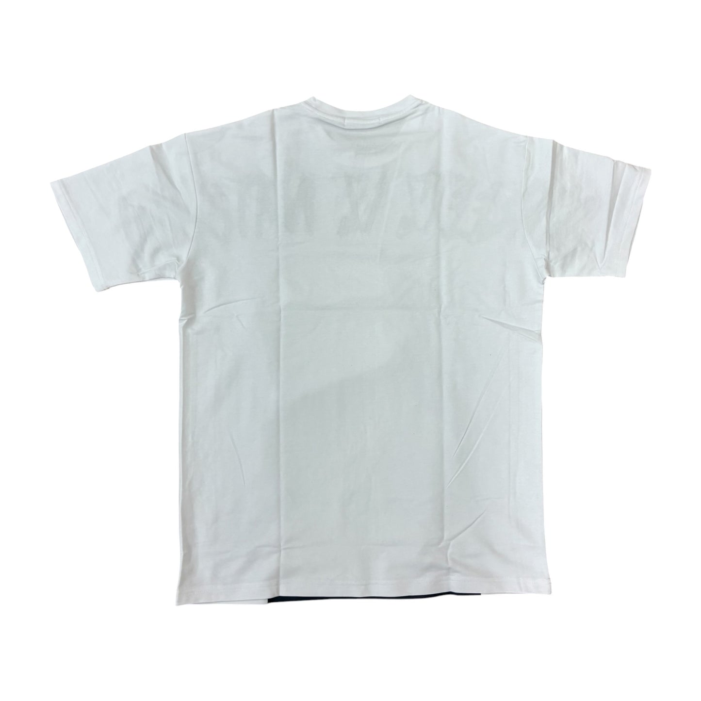 WH-SIW5273 - Eagle Oversized Premium Graphic T-Shirt