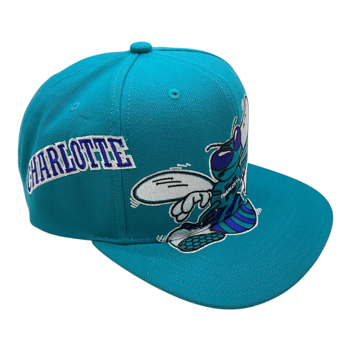 HS10046 - CLT Hornets Snapback