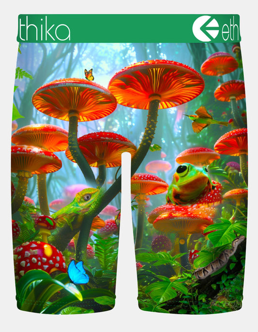 MLUS3617 - Kingdom Morning