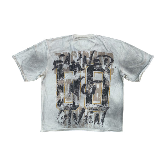 WH-3163-118 - Fairplay Digital with Rhinestones Terry Cropped Graphic T-Shirt