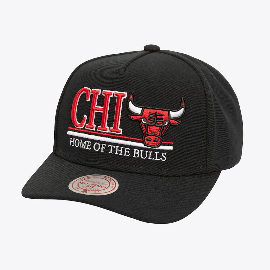 HP12030 - CHI Home of the Bulls Pro Snapback