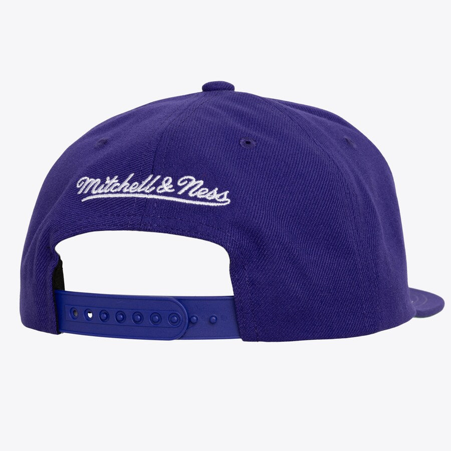 HS9762 - Raptors Snapback