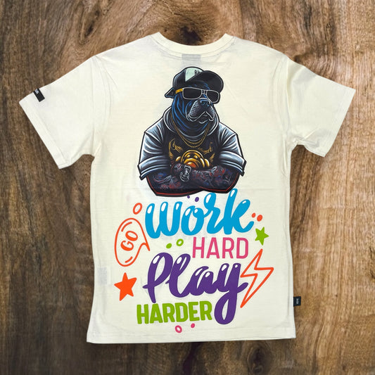 SS4038K - Boy's/Kid's Work Hard Graphic T-Shirt