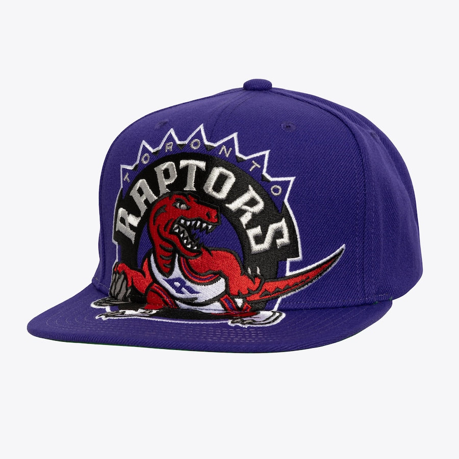 HS9762 - Raptors Snapback