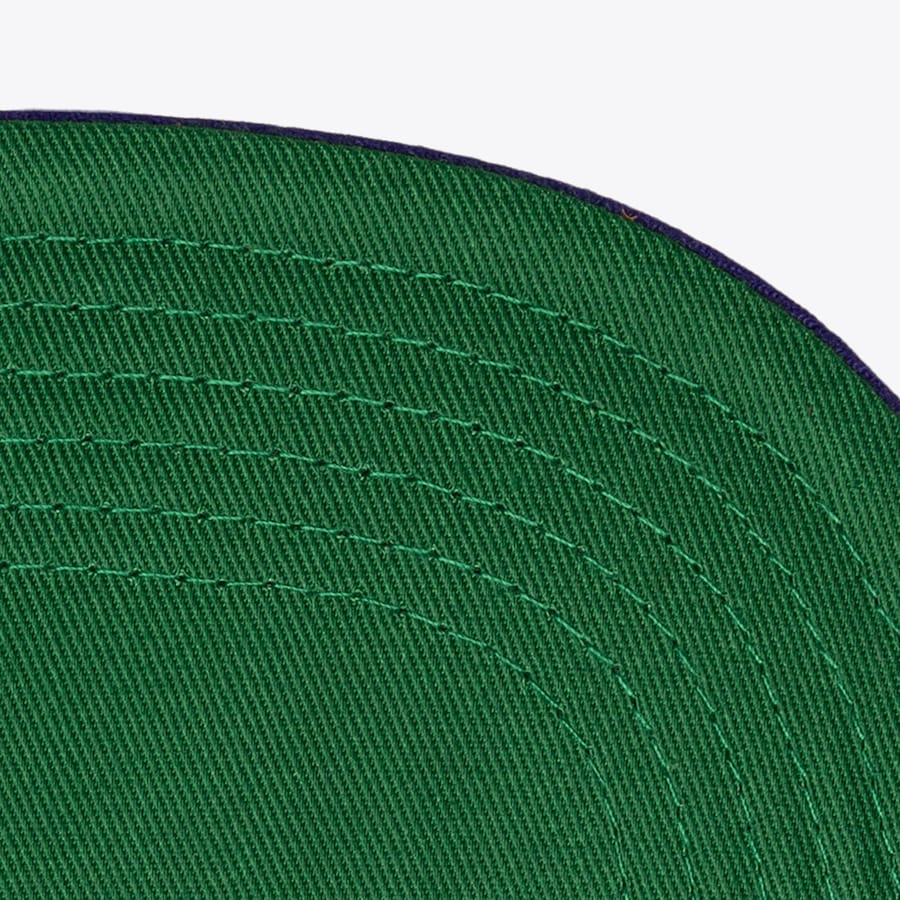 HS9762 - Raptors Snapback