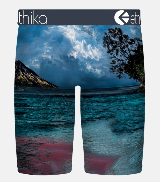 MLUS6J03 - Death B4 Destruction Ethika Men's Staple Boxer Brief
