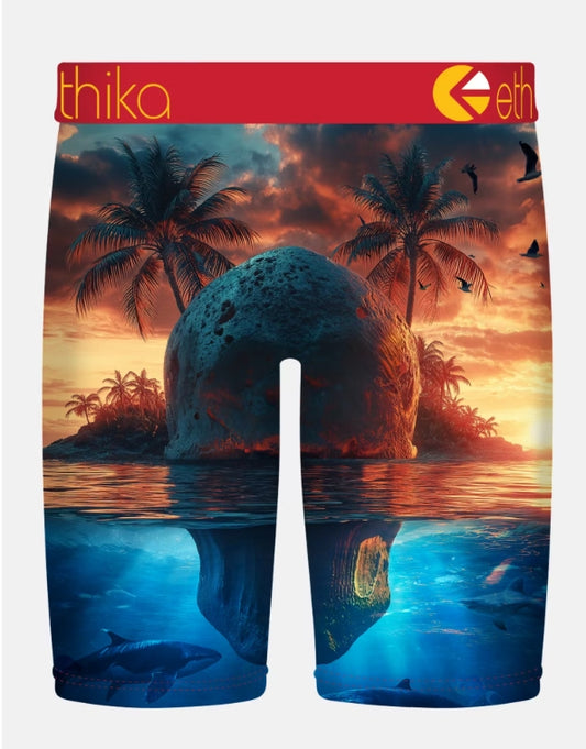 MFAAAF2523 - Skol Island Ethika Men's Staple Boxer Brief