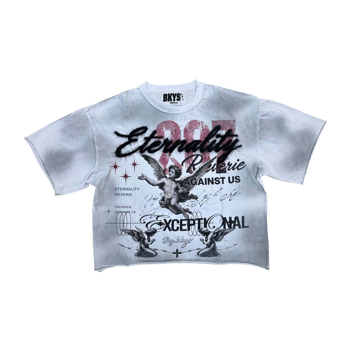 WH-T1685 - Prosper Against Us Graphic Crop T-Shirt