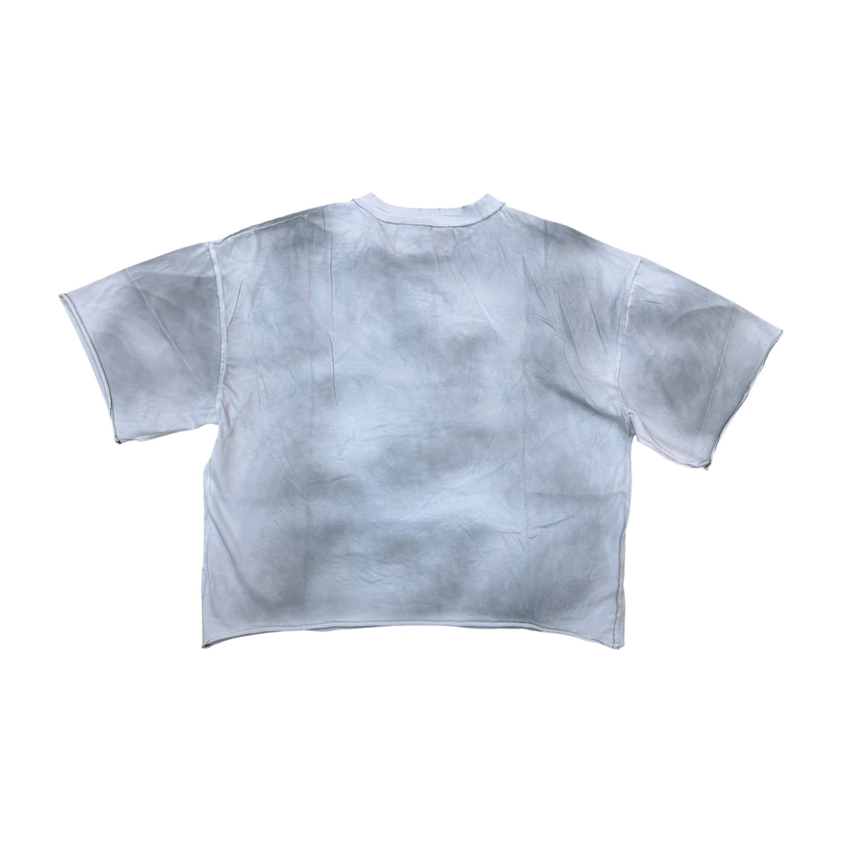 WH-T1685 - Prosper Against Us Graphic Crop T-Shirt
