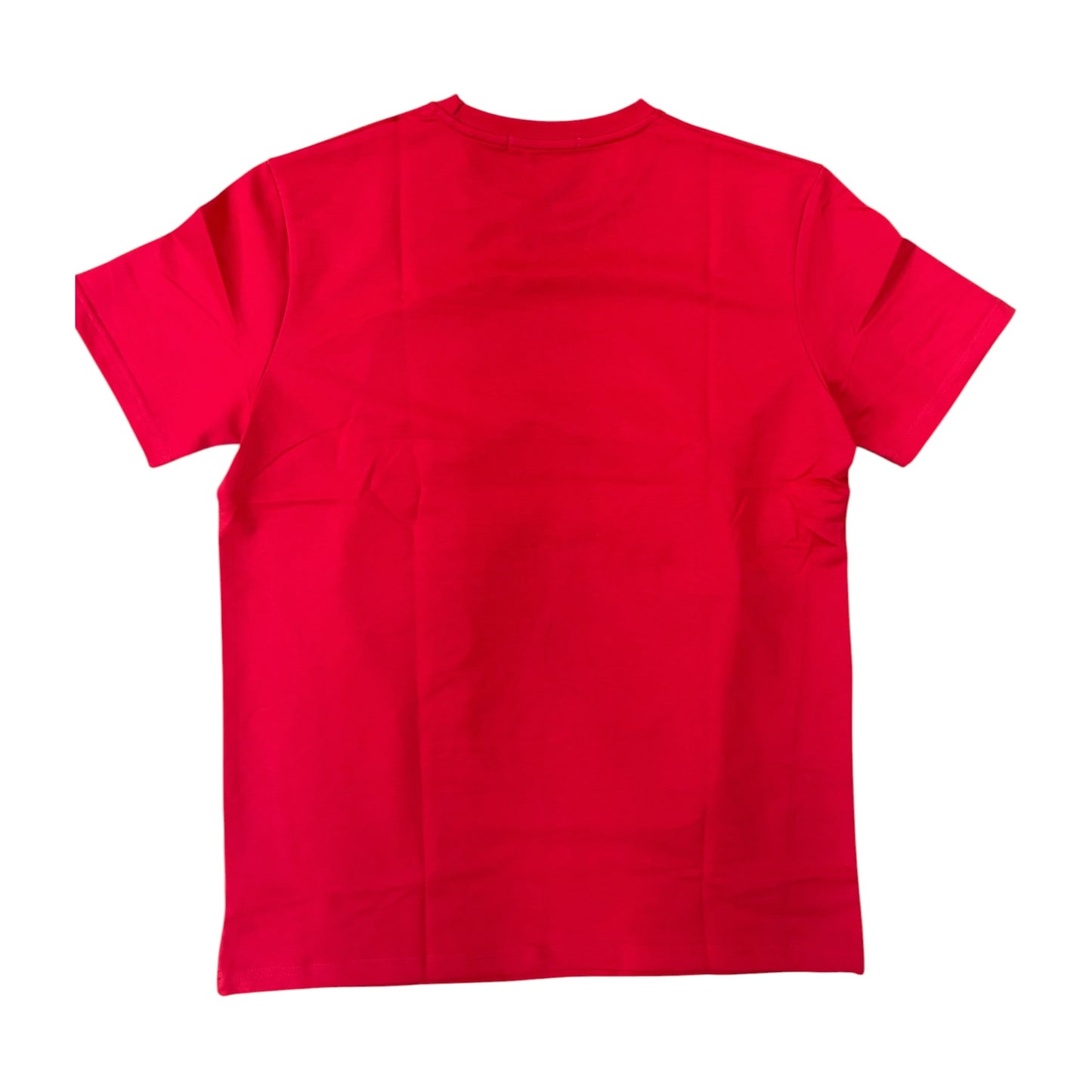 WH-SIW5269 - Blessed Premium Graphic T-Shirt