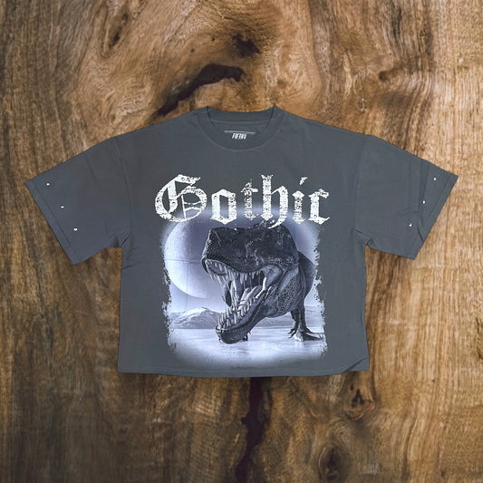FLT522 - Gothic Heavy Weight Cropped Top Graphic T-Shirt