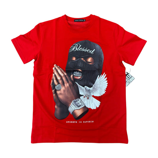 WH-SIW5269 - Blessed Premium Graphic T-Shirt