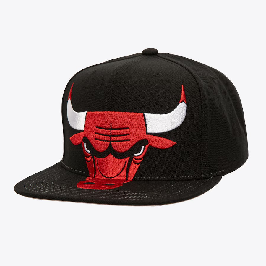 HS9761- Bulls Snapback