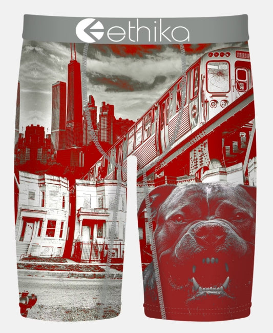 MHOAAL2510 - Off The Porch Ethika Men's Staple Boxer Brief