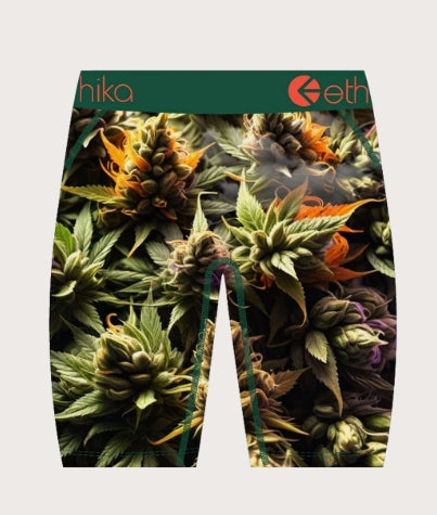 MHOAAJ2504 - Big Dope Ethika Men's Staple Boxer Brief