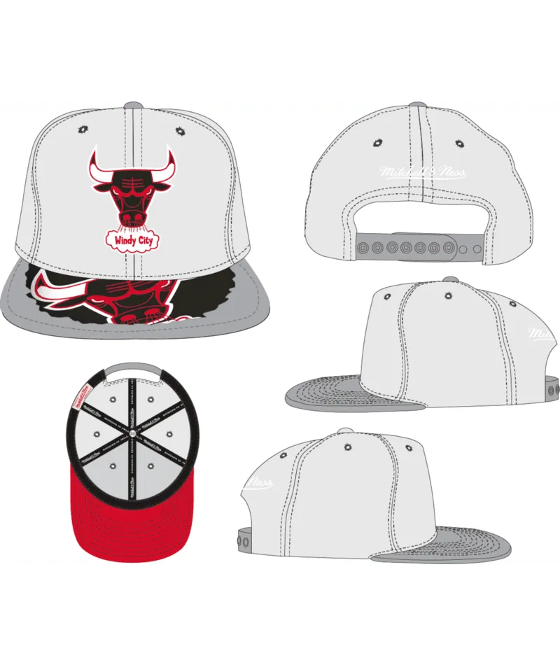 HHSS5463 - Bulls SNAPBACK