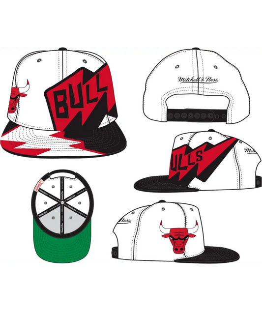 HHSS5317 - Bulls SNAPBACK